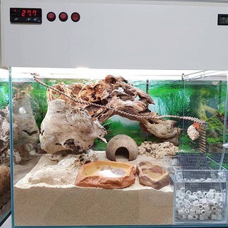 Cát lót cho ốc mượn hồn- Cát cho ốc mượn hồn - Cát biển( 1 bịch 1 kg )