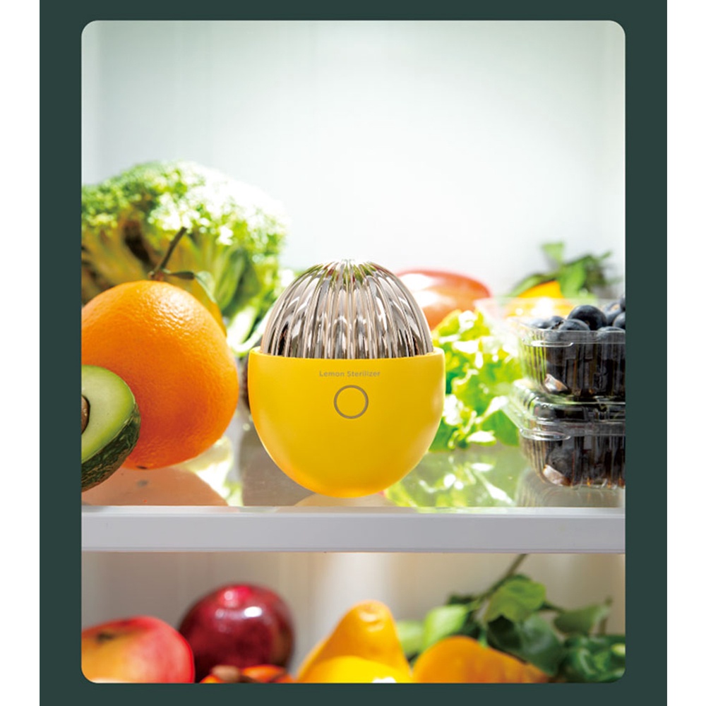 Uareliffe Deodorizer Machine For Refrigerator Fresh Keeping Fruits Vegetables Air Purifier