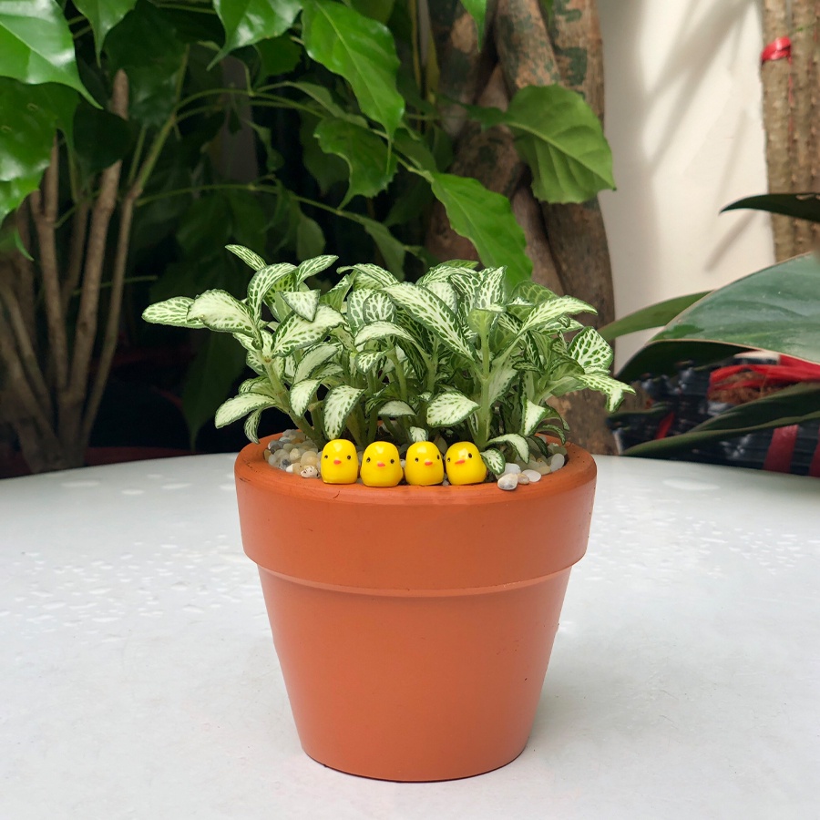 Phụ Kiện Gà Con Trang Trí Mô Hình, Tiểu Cảnh Terrarium, Đồ handmade
