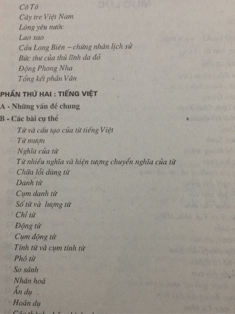 Sách - Bồi dưỡng Học sinh giỏi Ngữ văn THCS Quyển 2