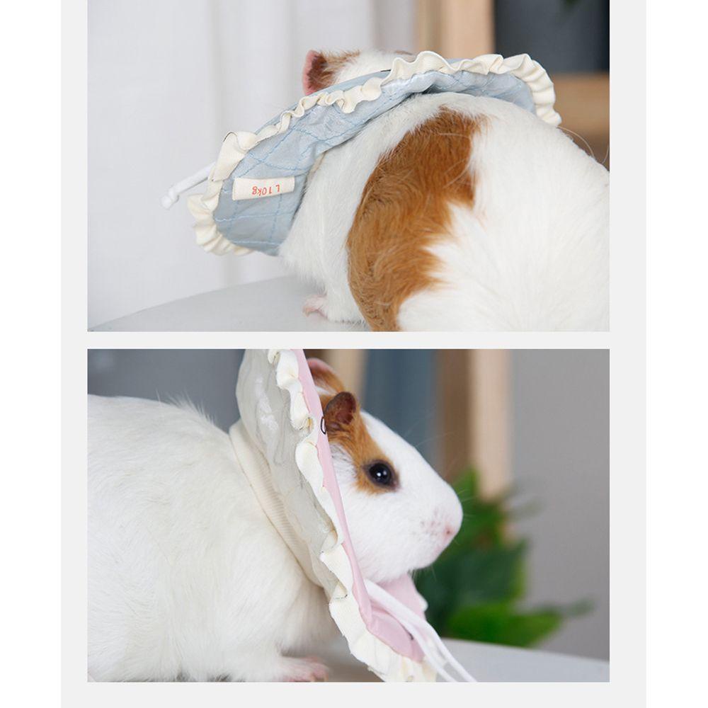 LEISURE Vòng Cổ Hình Nón In Chữ Guinea Dễ Thương Cho Thú Cưng