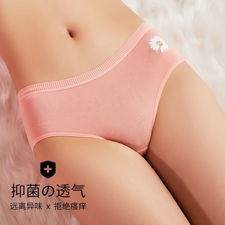 COMBO 5 chiếc Quần lót cotton, quần lót nữ hoa cúc, thấm hút mồ hôi cực tốt ,co giãn 4 chiều ,hàng quảng châu cao (QL16)