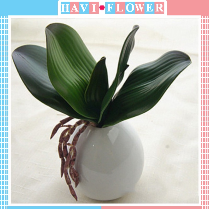 Cụm Lá Lan Giả Có Rễ, 5 lá màu xanh loại đẹp hàng cao cấp - trang trí, decor nhà, cắm để bàn, chụp ảnh.