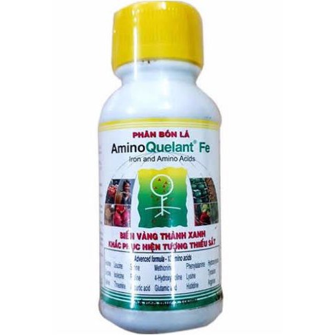 Amino Fe chai 100ml - Phân bón lá bổ sung sắt cho cây trồng