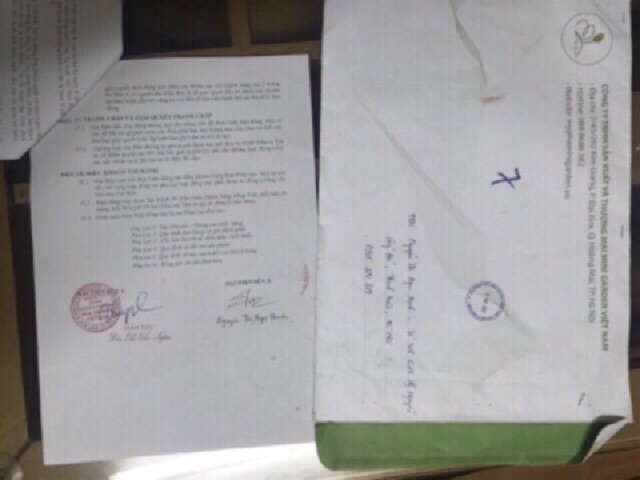 Son Gold Chính Hãng Minigarden | BigBuy360 - bigbuy360.vn