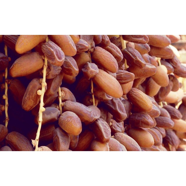 Chà là nguyên cành mới ngon Tunisia 500g