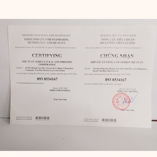 Tinh Dầu Sả Java Nguyên Chất 50ml - Giọt Vàng Vùng Cao