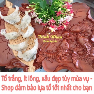 Tổ yến sào thô nguyên chất ít lông loại 1 + nguyên liệu - Yến Sào Bạc Liêu Trinh Nhân