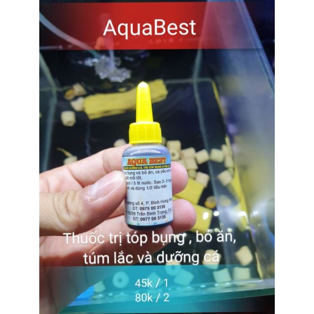 Thần Dược Trị Tóp Bụng Cho Cá Cảnh AquaBest - Guppy Xanh.