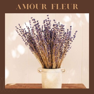 HOA KHÔ LAVENDER🌸Hoa Oải Hương Khô Decor Nhà Siêu Xinh🌸