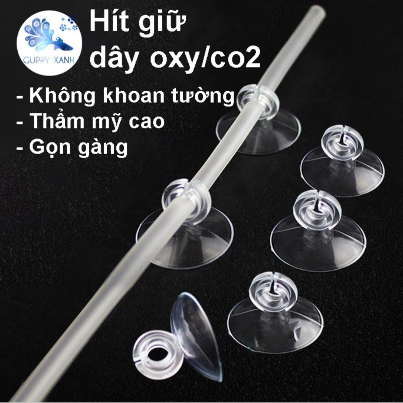 Núm hít kính- Giữ dây sủi- Dụng cụ giữ dây sủi