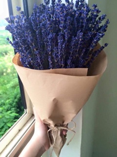 Hoa lavender - Hoa Pháp đủ bill