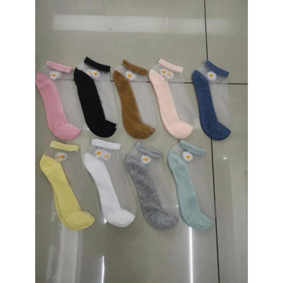 Sét 10 đôi tất ren hoa cúc họa mi hottrend