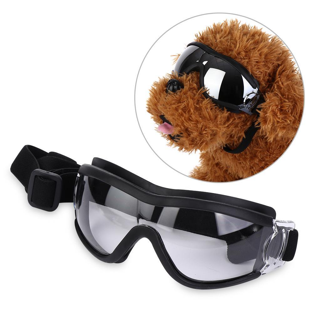 Kính Chống Tia UV Thời Trang Cho Thú Cưng