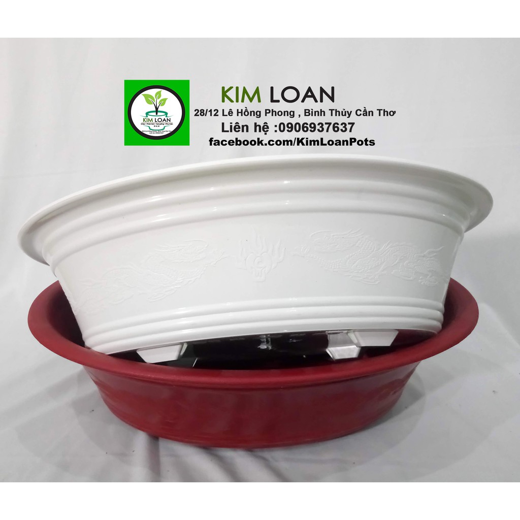 Combo 4 chậu ovan 39x28x12cm