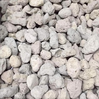 Đá bọt pumice trồng cây, hoa kiểng size 10-20mm, gói