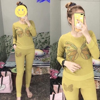 Bộ nỉ