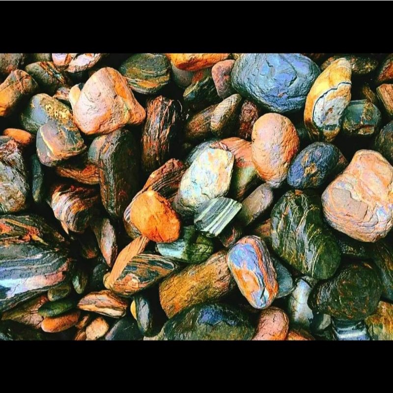 Đá cụi văng màu tự nhiên, chuyên set up hồ thủy sinh, bể cá - 1kg ( 3 đến 4 cục nhỏ )