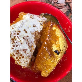 Mật ong rừng Tây Bắc