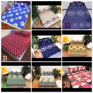 Set ga gối cotton poly