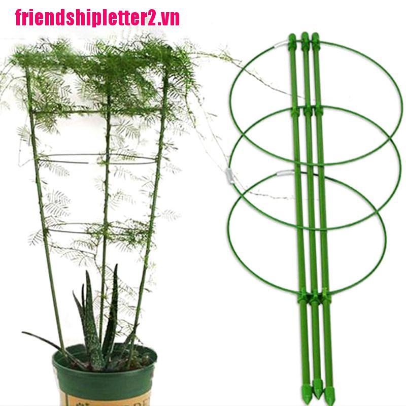 1 Khung Hỗ Trợ Trồng Cây Leo 60cm