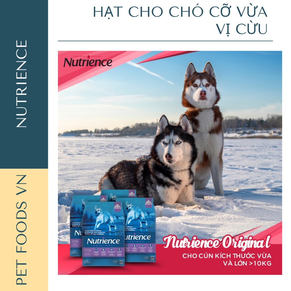 Hạt cho chó cỡ vừa NUTRIENCE Original Medium Breed 500g vị Cừu