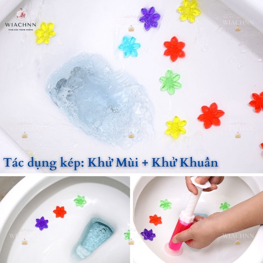 Gel Khử Mùi Bồn Cầu, Khử Trùng, Vệ Sinh gắn Bồn Cầu Dạng Hoa Với 6 Mùi Cho Nhà Vệ Sinh G6