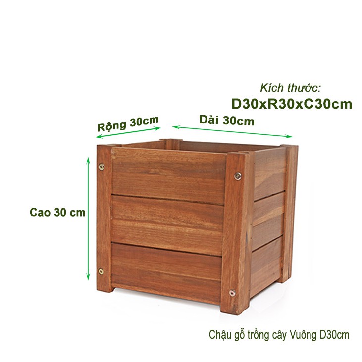 Chậu gỗ trồng cây, hình vuông, D30xR30xC30cm, gỗ Tràm chịu nước, tặng 1 hộp dưỡng hoa tươi lâu |Greenhome