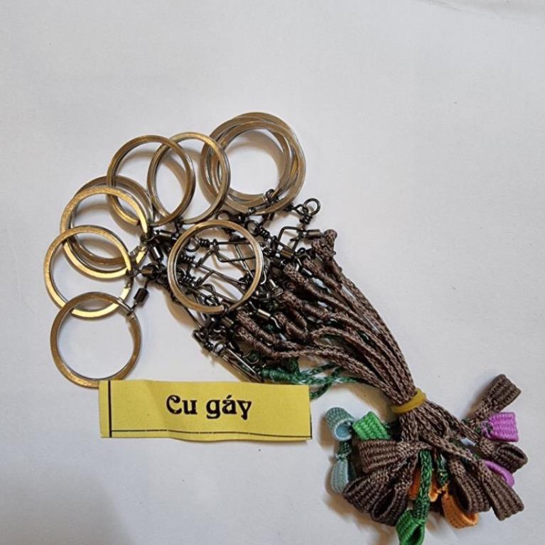 Xích chân chim chào mào xích chân chim khuyên,hút mật,mào,mi,khứu,chòe