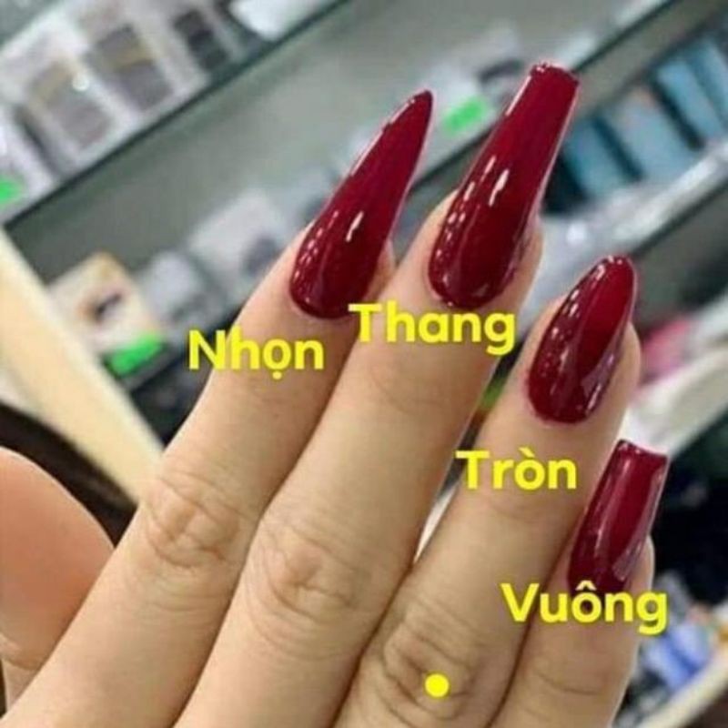 Móng Úp HSM Vuông, Nhọn, Tháng, Bầu, Tròn Nhám Nail - manh219