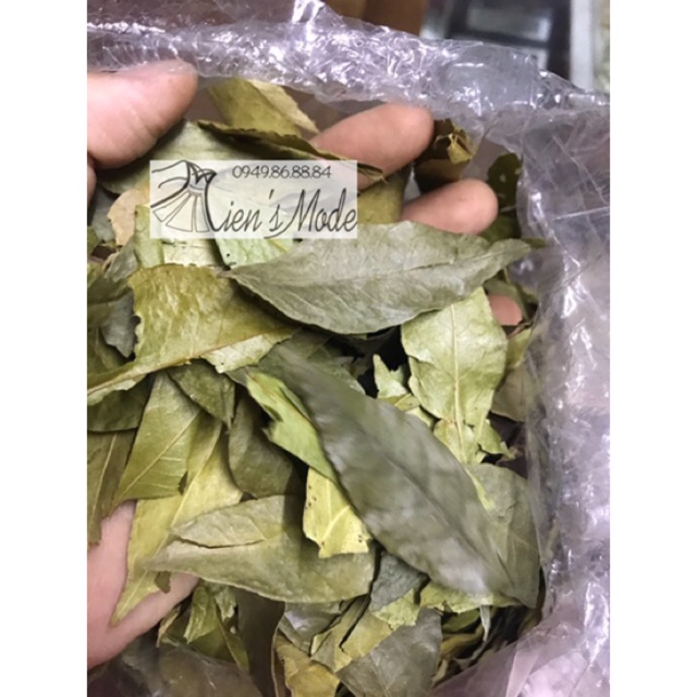 1kg Lá Móc Mật khô( loại 1 lá thơm nhiều mùi móc mật )