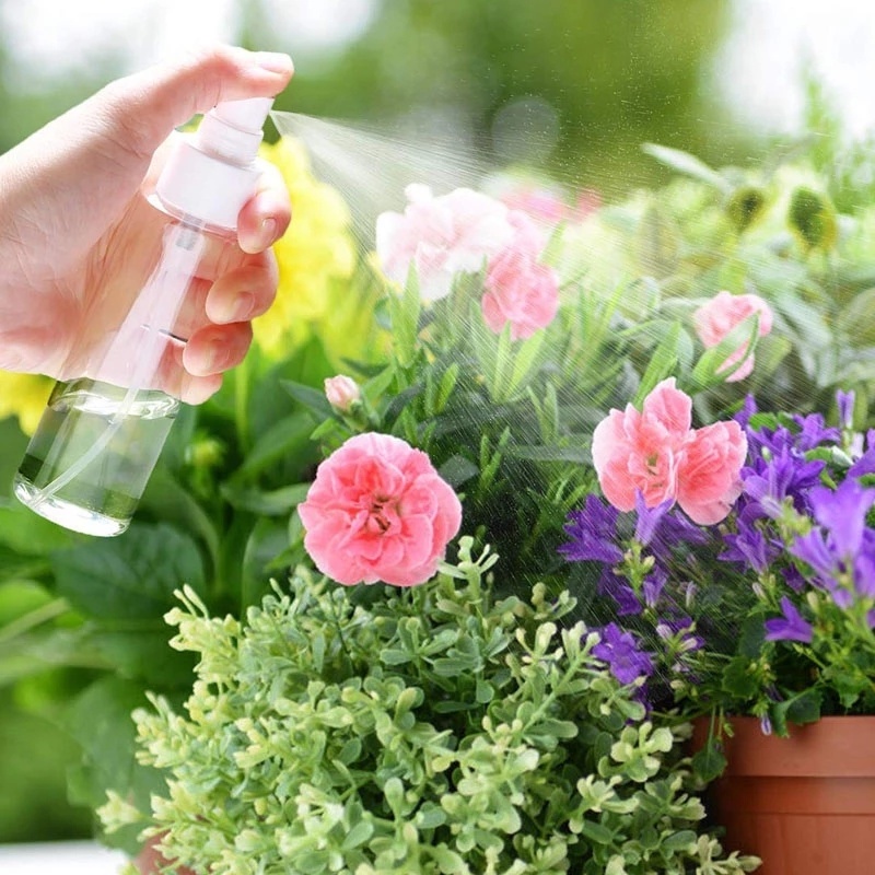 Chai rỗng trong suốt dạng phun dùng chiết nước hoa mỹ phẩm sữa dưỡng thể 5-250ml