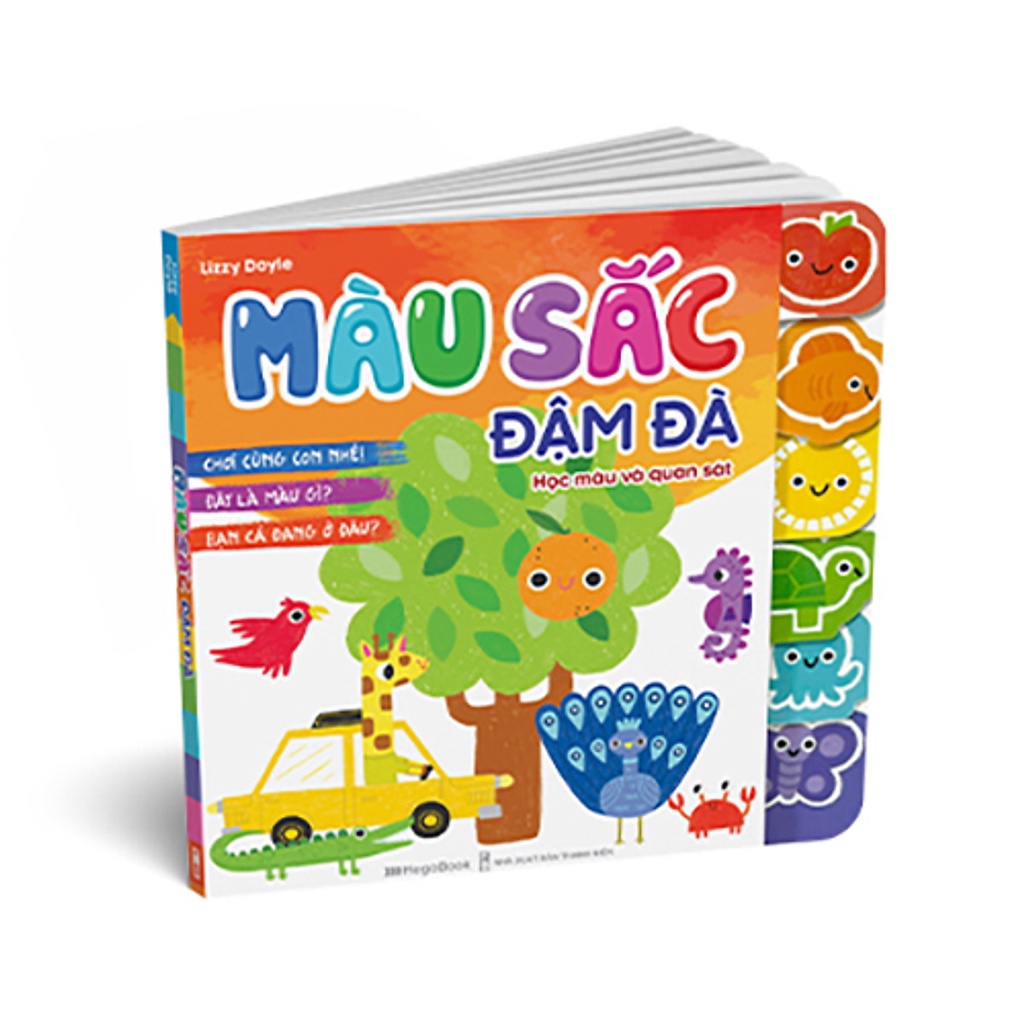 Sách- Màu sắc đậm đà Học màu và quan sát