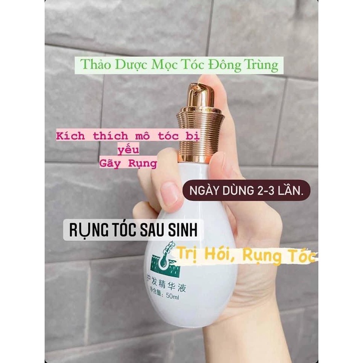 Bình Mọc Tóc Đông Trùng