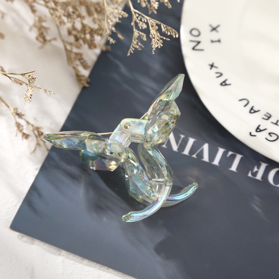 Kẹp Tóc Càng Cua Trong Suốt Bằng Nhựa Acrylic Hình Hoa Dễ Thương Phong Cách Hàn Quốc Cho Nữ