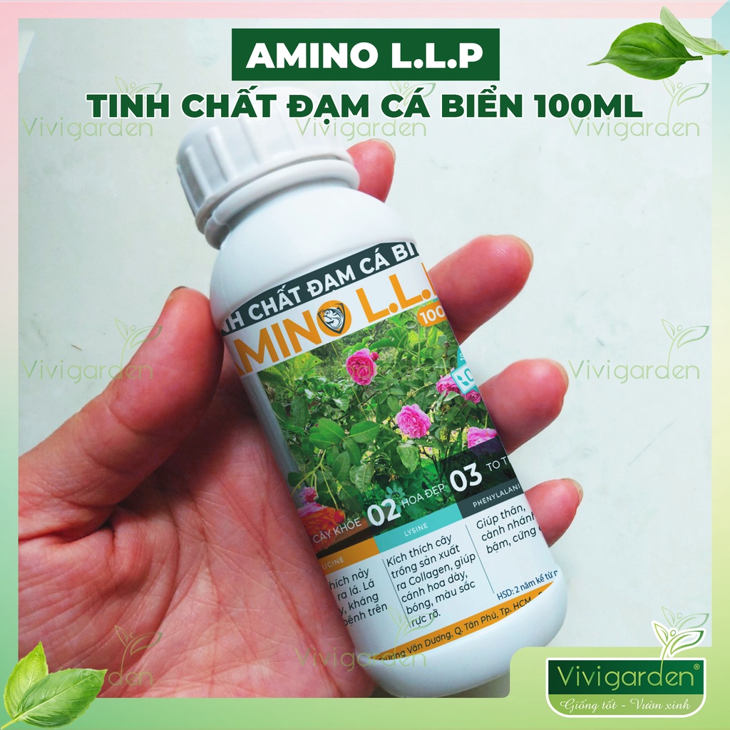 Chai 100ml phân hữu cơ Tinh Chất Đạm Cá Biển Amino L.L.P chuyên bón hoa hồng giúp bật mầm mạnh, hoa to,màu đẹp, cây khỏe