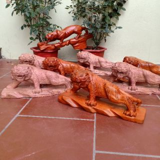 Cụ hổ gỗ hương