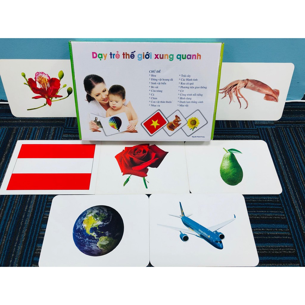 [Mã LT50 giảm 50k đơn 250k] Dạy Trẻ Thế Giới Xung Quanh Flashcard Theo Phương Pháp Glenn Doman 300 Thẻ