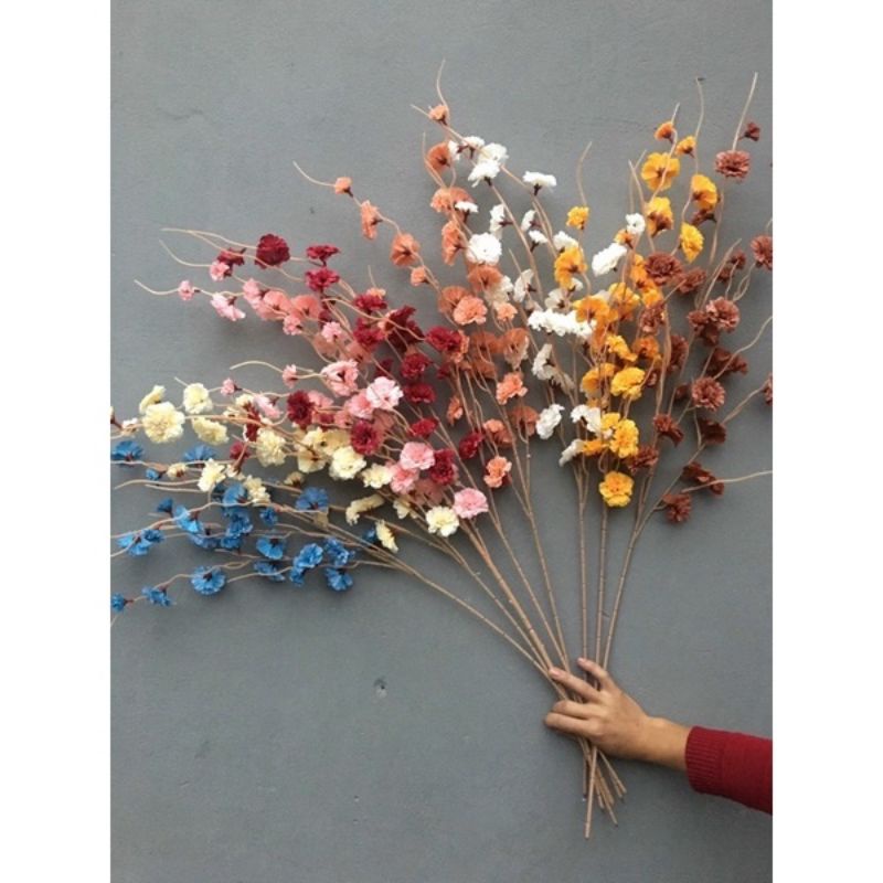 Hoa giả - hoa đào râu
