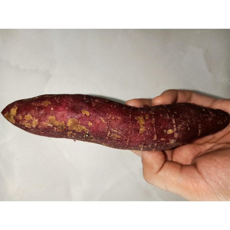 Khoai lang Nhật ruột vàng dẻo thơm 1Kg