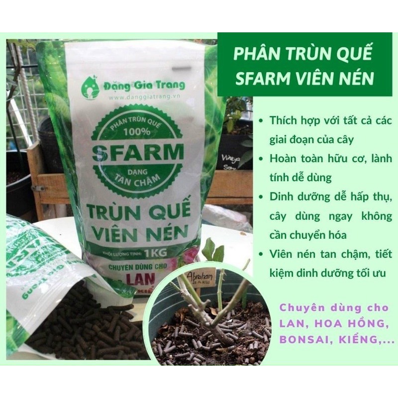 Phân trùn quế dạng viên 1kg