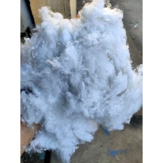 1KG BÔNG GÒN XƠ NHỒI GỐI (giá tại xưởng)