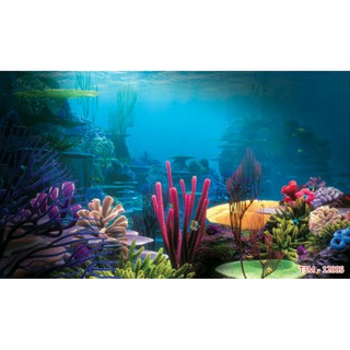 Tranh 3d dán bể cá cảnh có keo sẵn kt 120cm*60cm