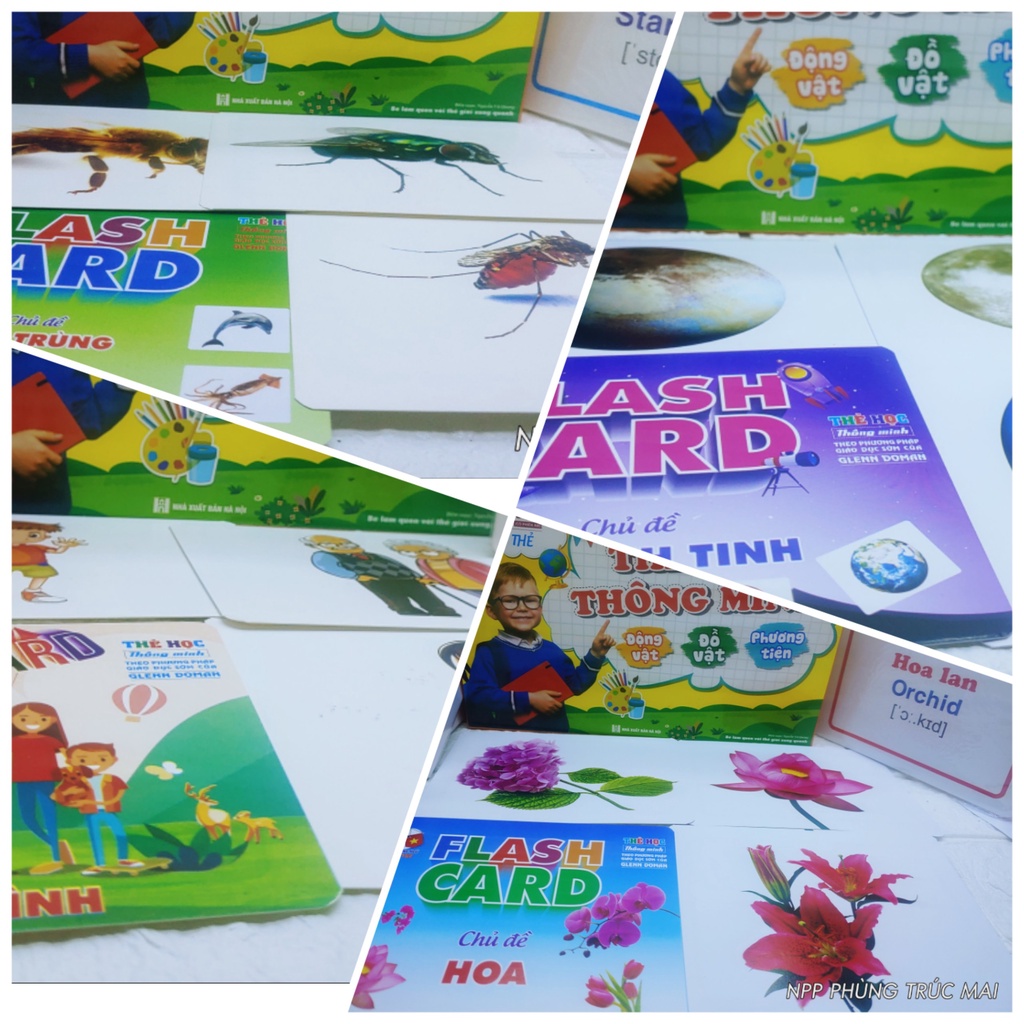 Bộ Thẻ Học Thông Minh Glenn Doman Flashcard 18 chủ đề nâng cấp từ 16 chủ đề lên 288 thẻ giá không đổi