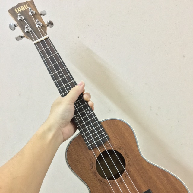 ĐÀN UKULELE CONCERT LYRIC