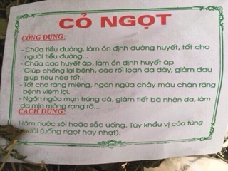 1 Kg Cỏ ngọt đặc sản Tây Bắc tạo vị ngọt tự nhiên