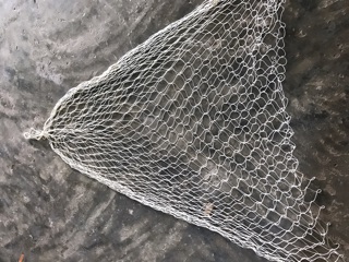 Lưới vợt cá- Vợt Ếch