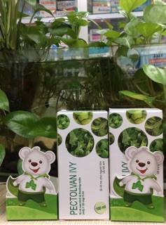 Combo 2 Siro Pectolvan Ivy lọ 100ml cho bé