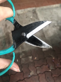 Kéo Cắt Dây Điện, Cáp Điện