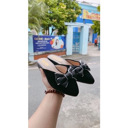 Sục nơ (ảnh thật) | BigBuy360 - bigbuy360.vn